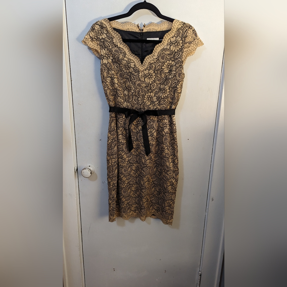 Calvin Klein | Beige Lace Belted Sheath Dress | Size 2